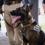 UNAY se suma a la Filey 2026 con actividades para públicos de todas las edades