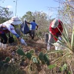 Retoma operaciones vuelo Villahermosa–Mérida de Aerus