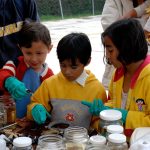 Comisión de Salud aprueba proyectos de dictámenes para fortalecer entornos escolares saludables y la seguridad alimentaria