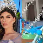 Ordena Cecilia Patrón la vía pública para facilitar el tránsito y calidad de vida de la comunidad