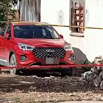 UADY clasifica invicta en voleibol y avanza al Nacional con doble triunfo histórico