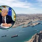 ¿Debes preocuparte por el Nodavirus? Esto es lo que se sabe hasta ahora