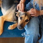 Ciberacoso: Las heridas que no se ven pero afectan la salud