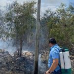 Refuerzan brigada contra el gusano barrenador en Yucatán