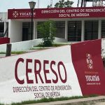Cecilia Patrón saca el Ayuntamiento a la calle para atender afectaciones por histórica lluvia en Mérida