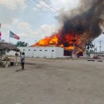 Renace la ganadería de Yucatán con el rescate de vientres