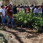 Presentan el libro “Capacidad sobre ruedas” en el Congreso del Estado
