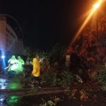 Mérida Enchula se construye desde cada calle y cada comisaría: Cecilia Patrón