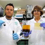 Renacimiento Verde promueve reforestación en Tepakán
