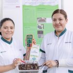Bazar Artesanal del IYEM logra ventas históricas para artesanas, artesanos y emprendedores yucatecos