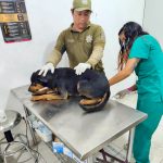 Fauna urbana deja afectaciones en el Parque Zoológico del Centenario.
