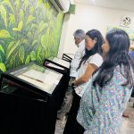 Yucatecas podrán prepararse gratis para acreditar el bachillerato 