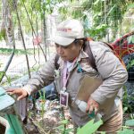 Renacimiento Maya y Marina consolidan avances en la ampliación y modernización del Puerto de Altura de Progreso