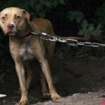 “Dolly” no representa riesgo para Yucatán: Procivy