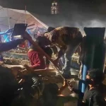Aunque no lo parezca, los gatos sí extrañan a los humanos