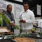 Feria del Mucbipollo fortalece las tradiciones y genera prosperidad económica